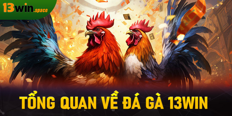 Tổng quan về đá gà 13WIN
