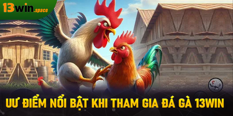 Uư điểm nổi bật khi tham gia đá gà 13WIN