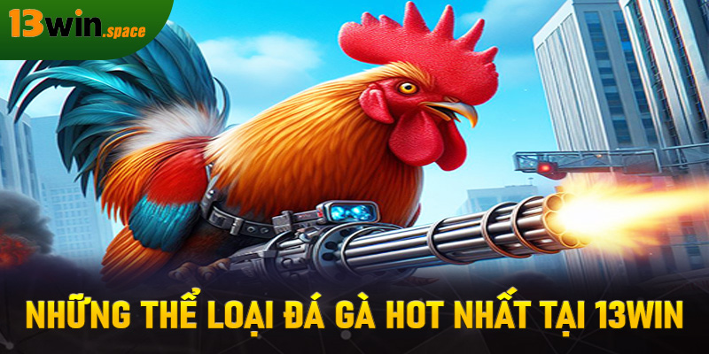 Những thể loại đá gà hot nhất tại 13WIN