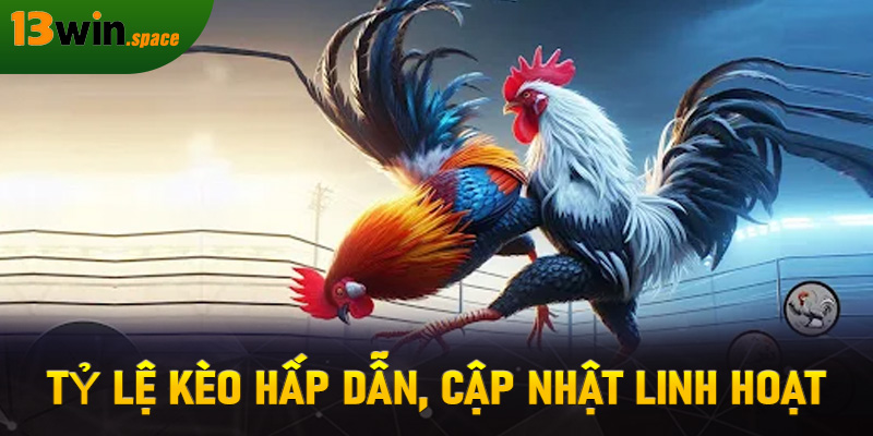 Tỷ lệ kèo hấp dẫn, cập nhật linh hoạt